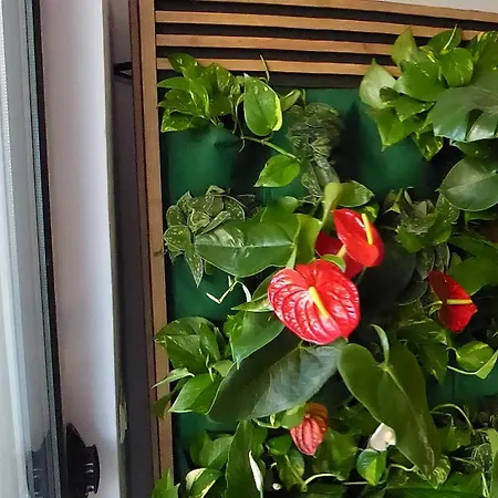 Sea View Garden Spot Apartment Durrës